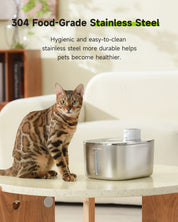 APETDOLA 4L Wireless Cat Water Fountain Auto Sensor Drinking Fountain For Cats Dog Drinker Pet Water Dispenser Accessories